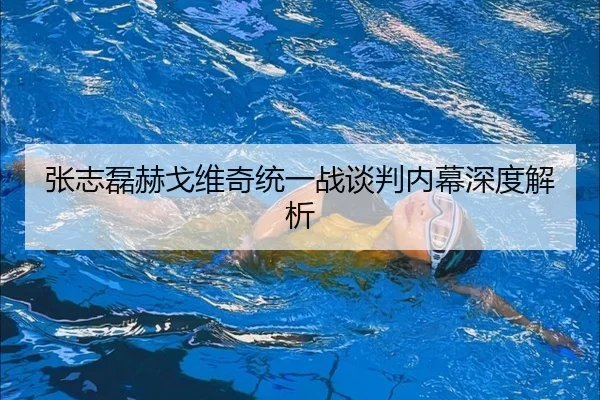张志磊赫戈维奇统一战谈判内幕深度解析